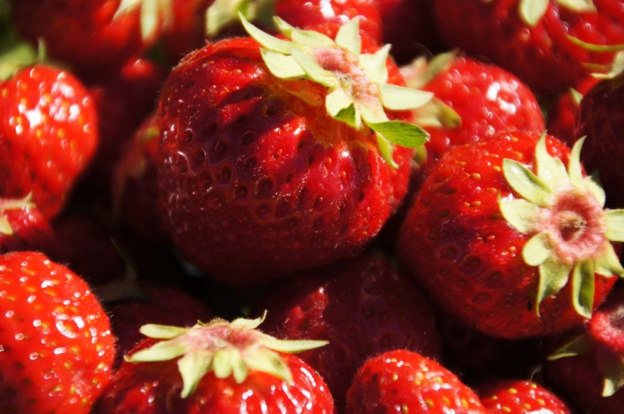 strawberries from the kitchen garden