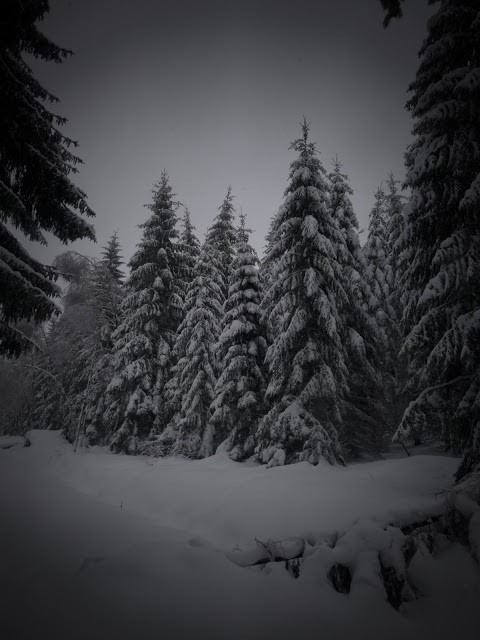 winter in Westerwald