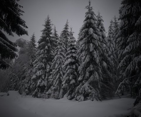 winter in Westerwald